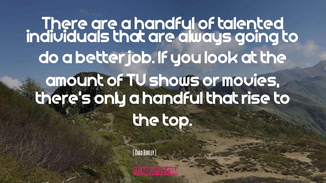 Chad Hurley Quotes: There are a handful of