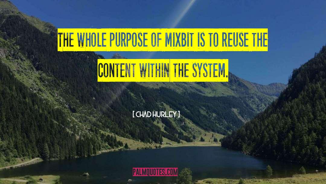 Chad Hurley Quotes: The whole purpose of MixBit