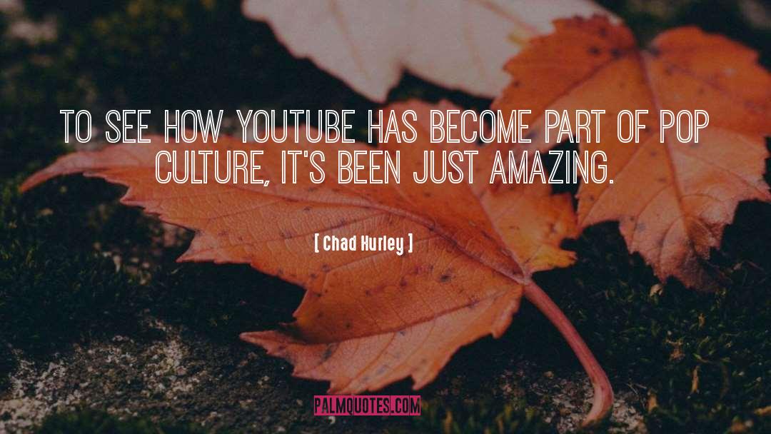 Chad Hurley Quotes: To see how YouTube has