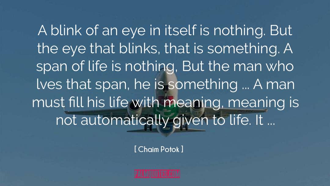 Chaim Potok Quotes: A blink of an eye