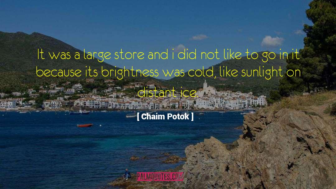 Chaim Potok Quotes: It was a large store