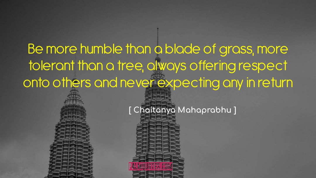 Chaitanya Mahaprabhu Quotes: Be more humble than a
