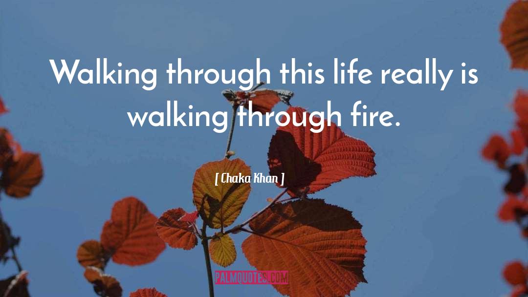 Chaka Khan Quotes: Walking through this life really