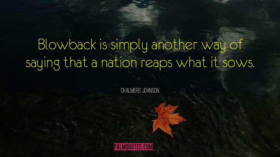 Chalmers Johnson Quotes: Blowback is simply another way