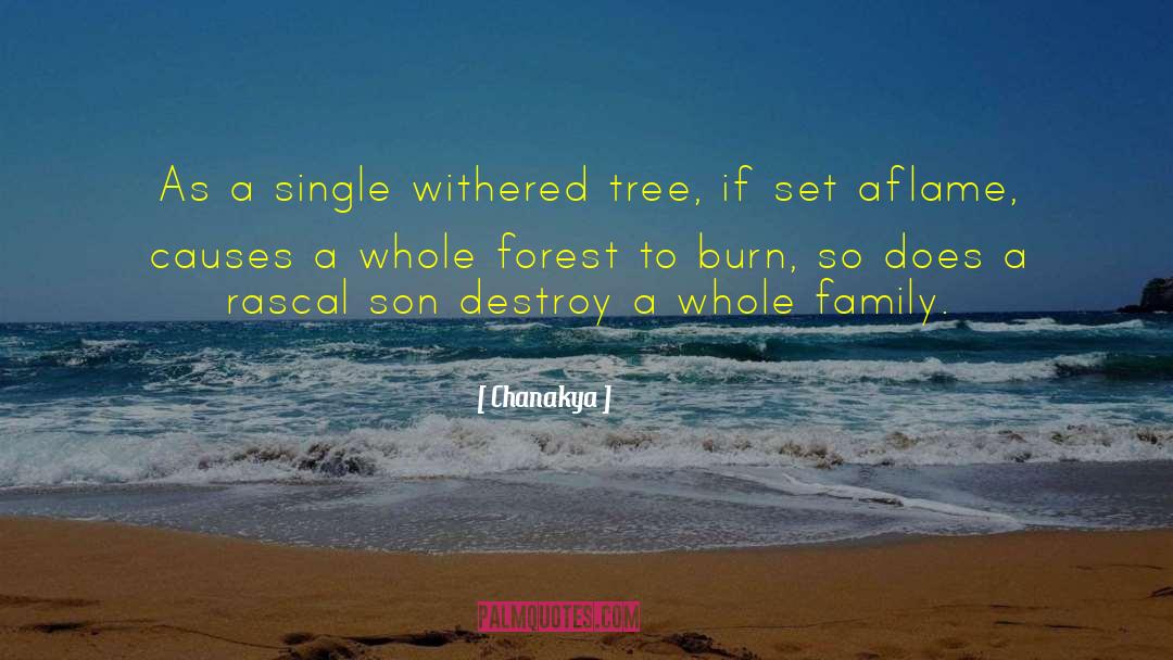 Chanakya Quotes: As a single withered tree,