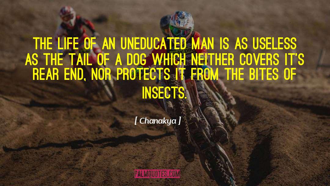 Chanakya Quotes: The life of an uneducated