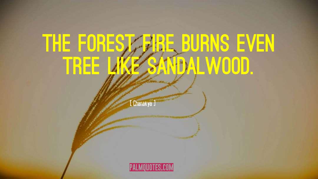 Chanakya Quotes: The forest fire burns even