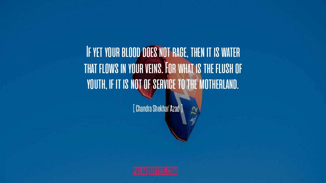 Chandra Shekhar Azad Quotes: If yet your blood does