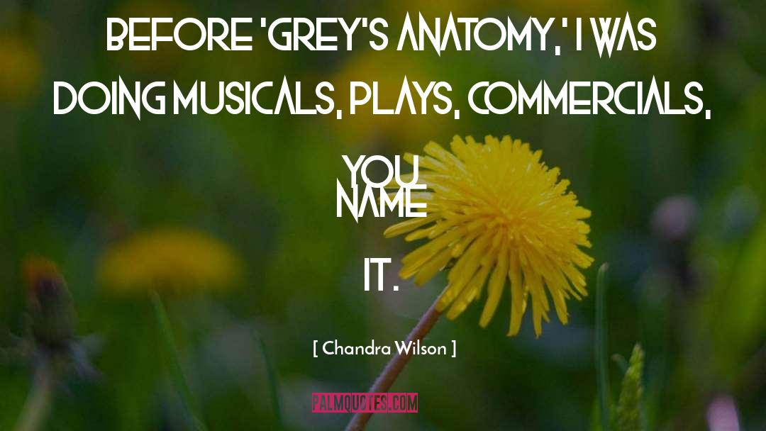 Chandra Wilson Quotes: Before 'Grey's Anatomy,' I was