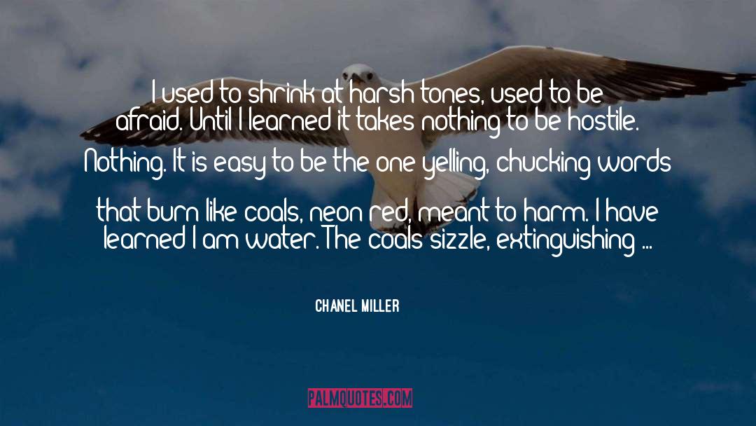 Chanel Miller Quotes: I used to shrink at