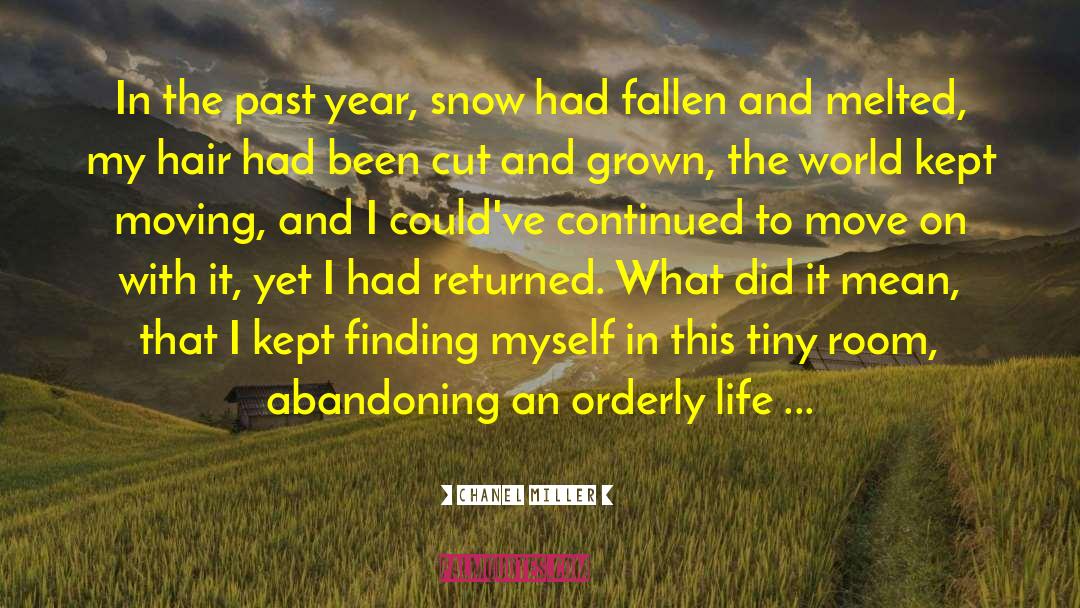 Chanel Miller Quotes: In the past year, snow