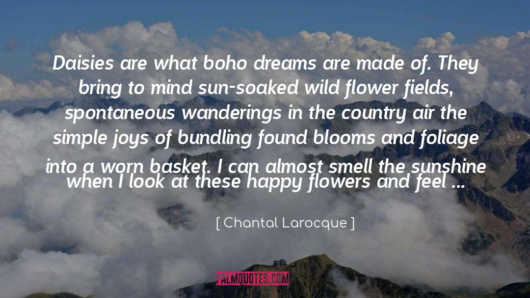 Chantal Larocque Quotes: Daisies are what boho dreams