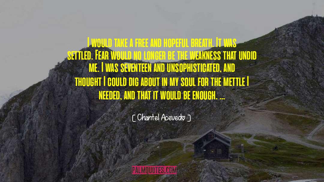 Chantel Acevedo Quotes: I would take a free