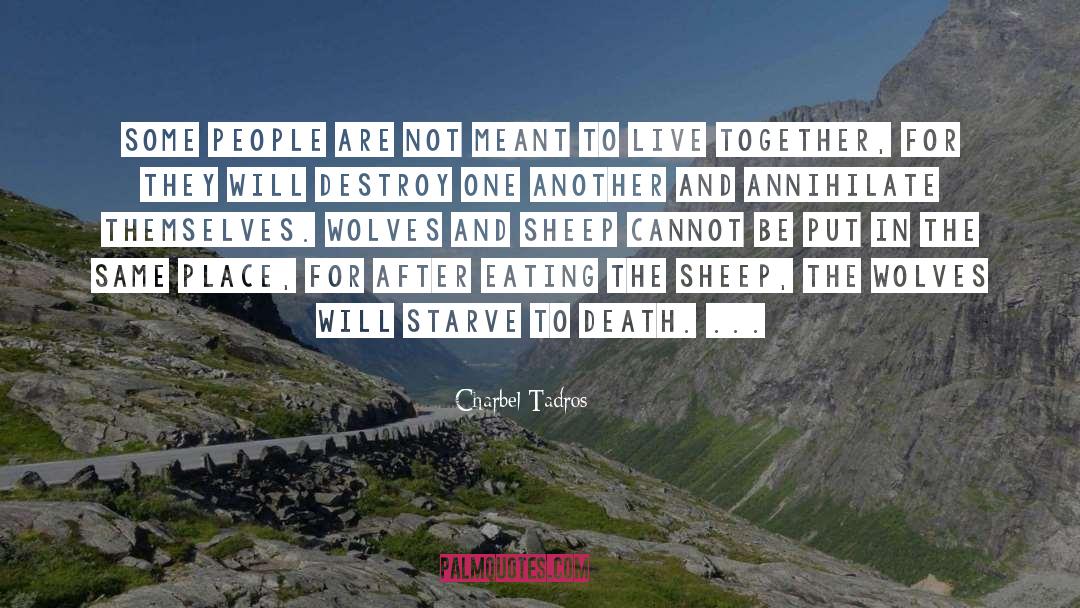 Charbel Tadros Quotes: Some people are not meant