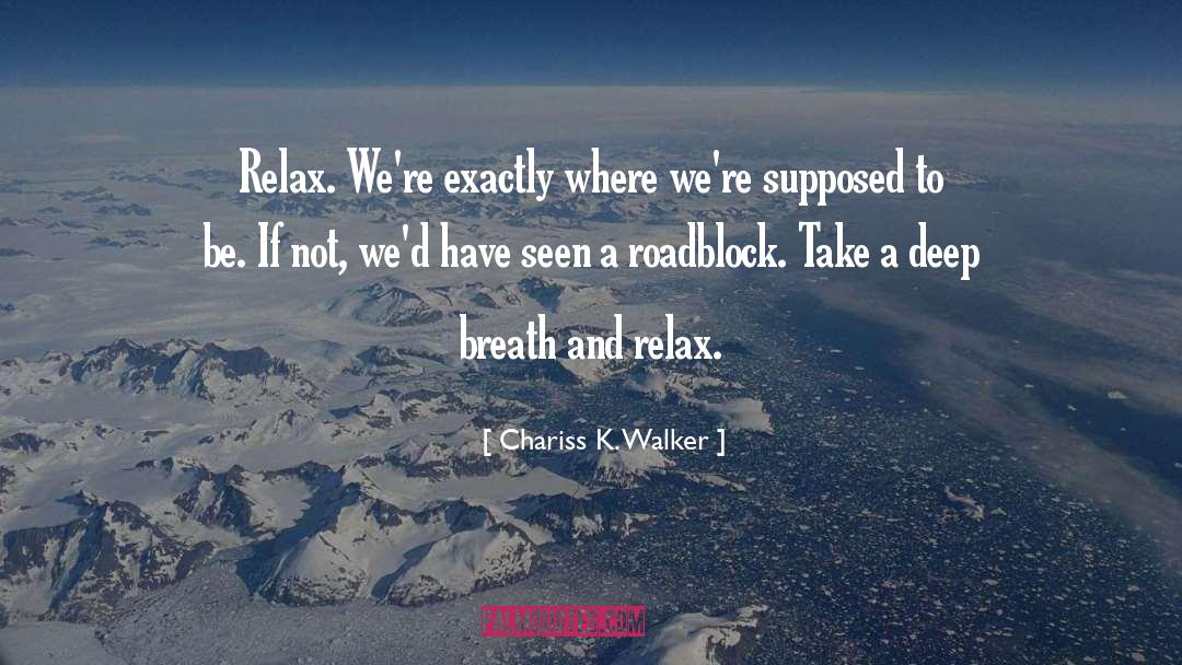 Chariss K. Walker Quotes: Relax. We're exactly where we're