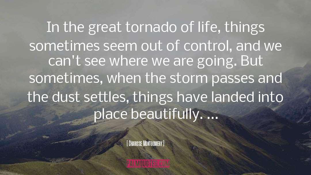 Charisse Montgomery Quotes: In the great tornado of