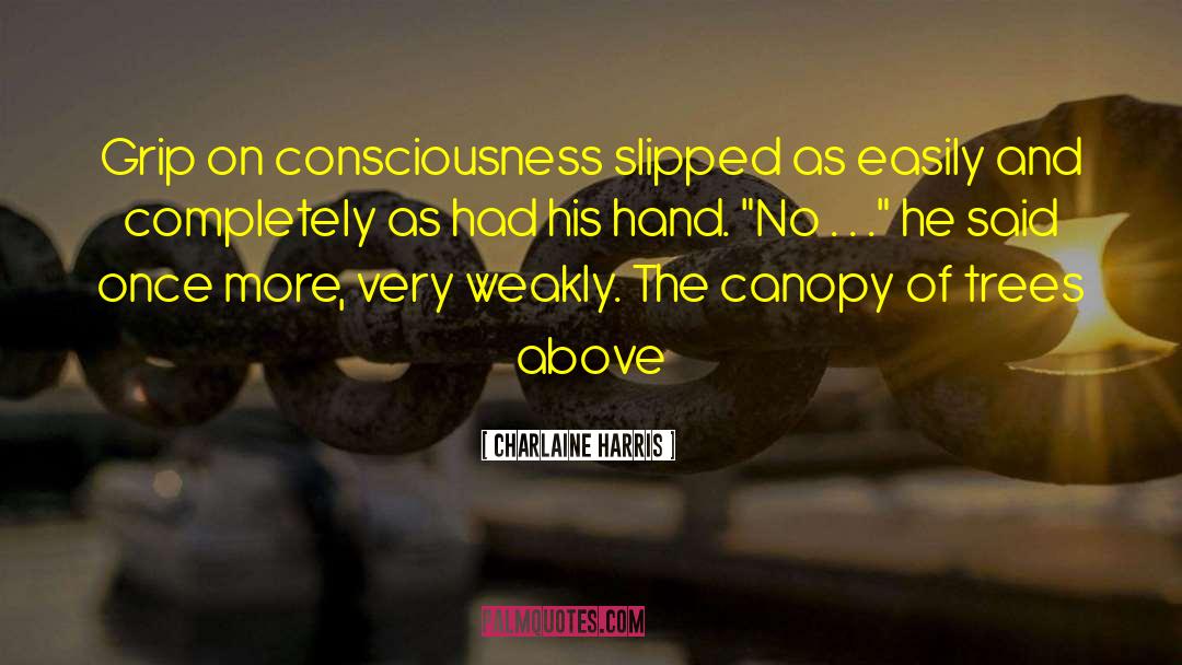 Charlaine Harris Quotes: Grip on consciousness slipped as