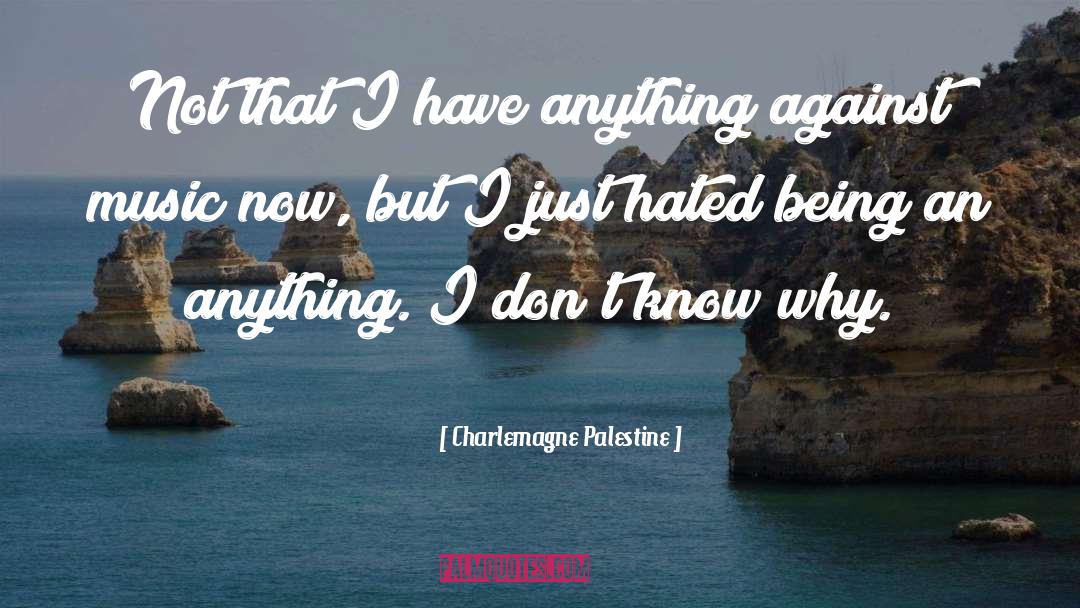 Charlemagne Palestine Quotes: Not that I have anything