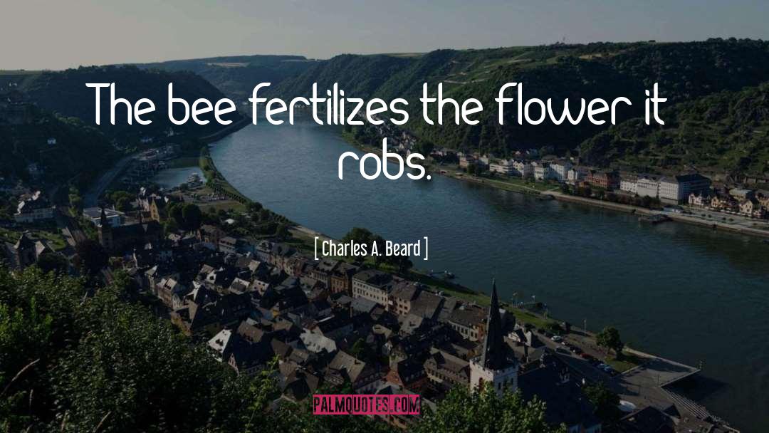 Charles A. Beard Quotes: The bee fertilizes the flower