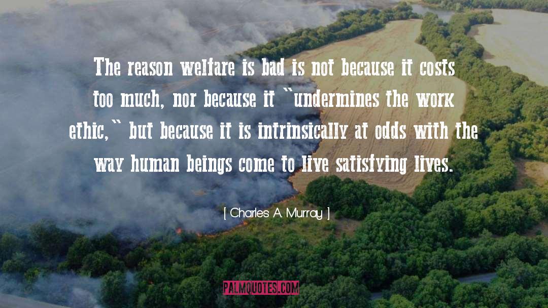 Charles A. Murray Quotes: The reason welfare is bad