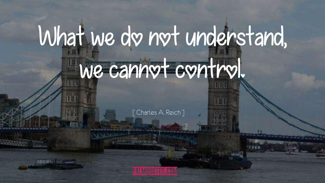 Charles A. Reich Quotes: What we do not understand,