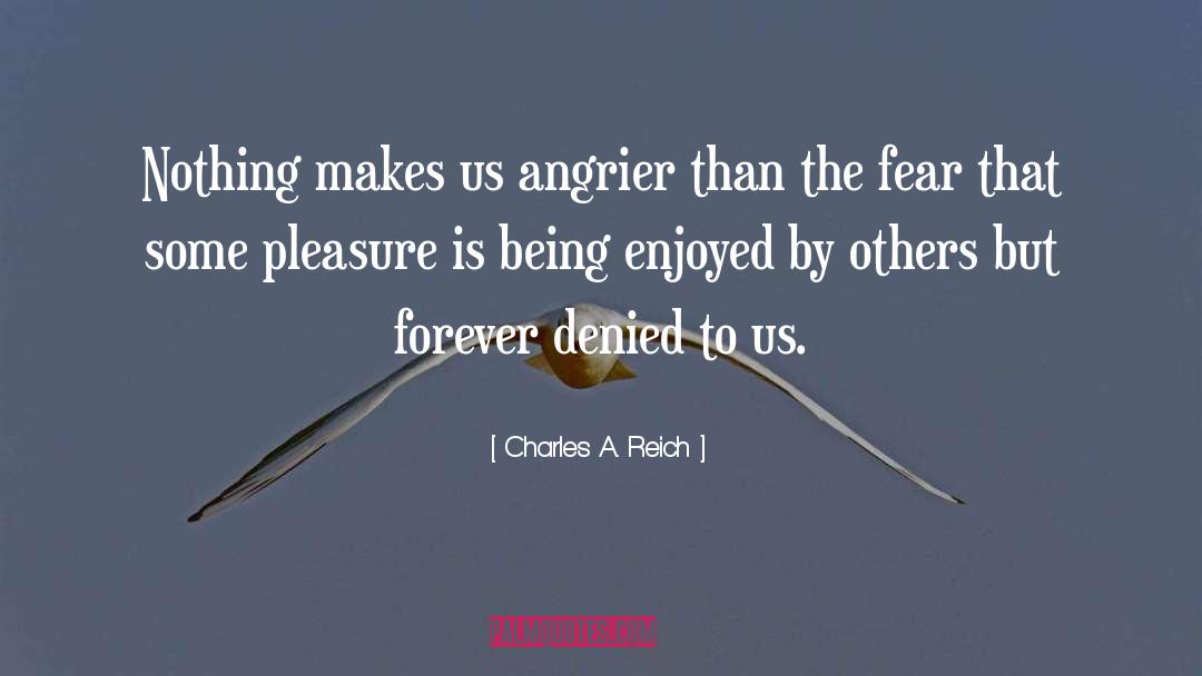 Charles A. Reich Quotes: Nothing makes us angrier than