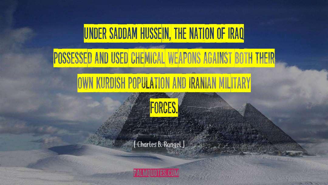 Charles B. Rangel Quotes: Under Saddam Hussein, the nation