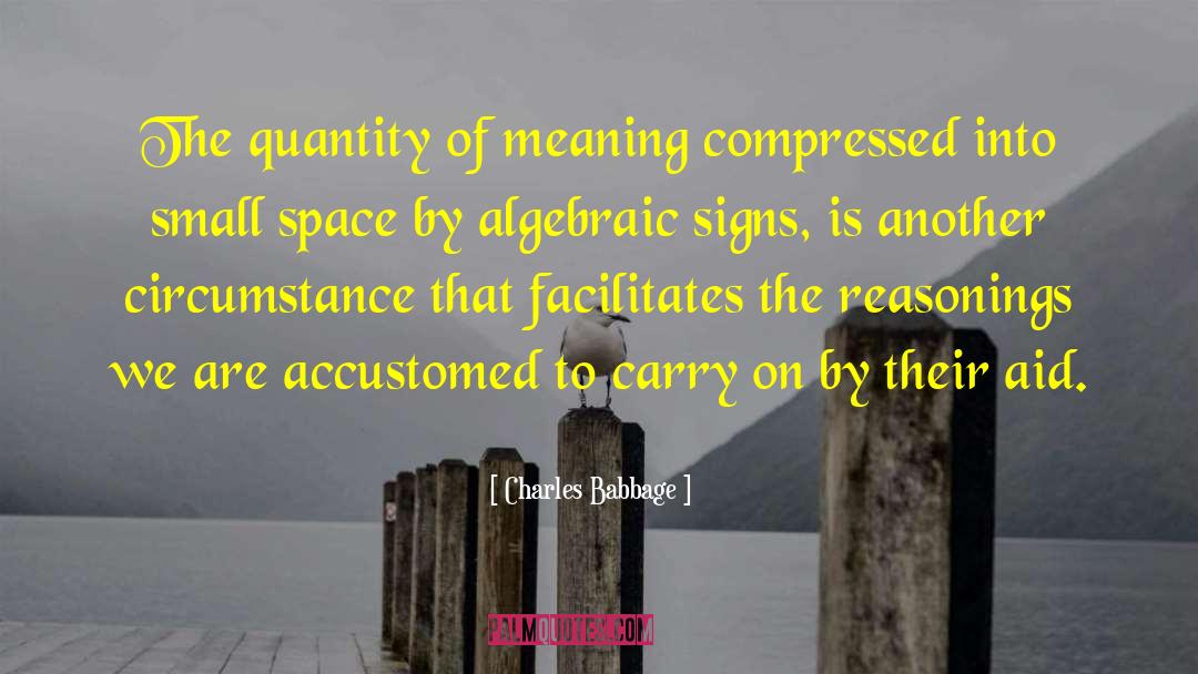 Charles Babbage Quotes: The quantity of meaning compressed