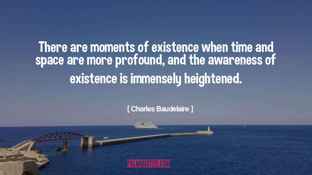 Charles Baudelaire Quotes: There are moments of existence