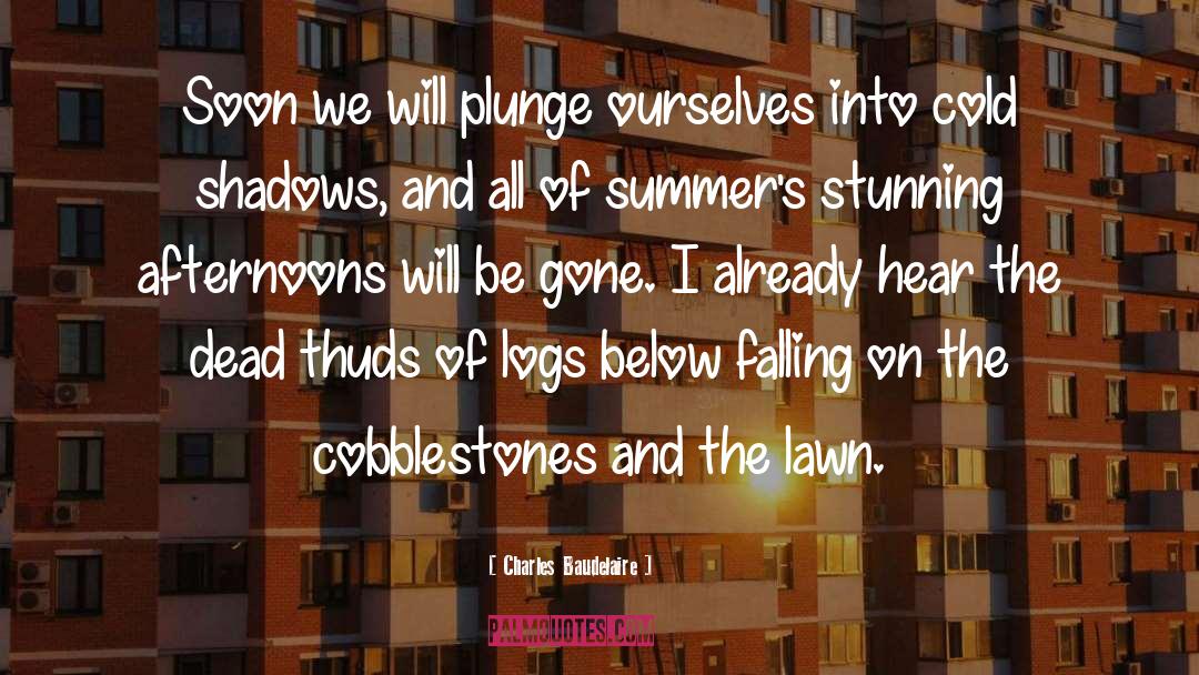 Charles Baudelaire Quotes: Soon we will plunge ourselves