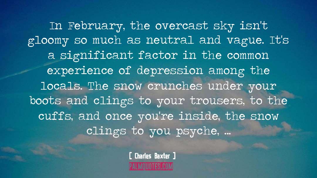 Charles Baxter Quotes: In February, the overcast sky