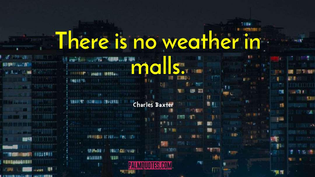 Charles Baxter Quotes: There is no weather in