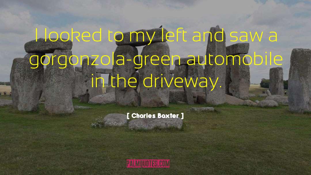 Charles Baxter Quotes: I looked to my left