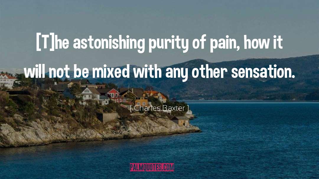 Charles Baxter Quotes: [T]he astonishing purity of pain,