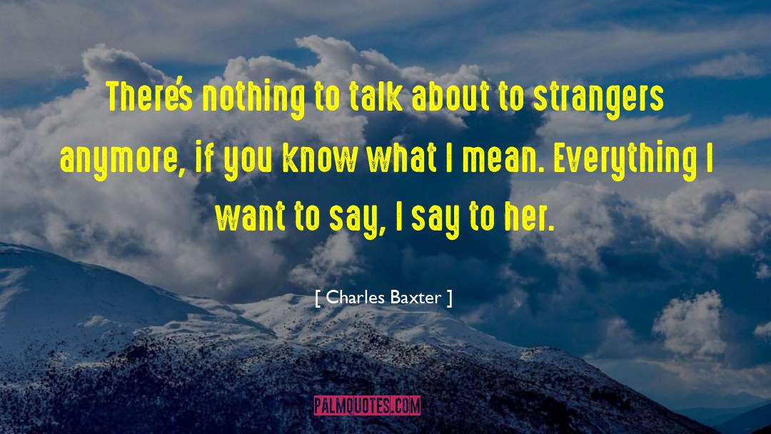 Charles Baxter Quotes: There's nothing to talk about