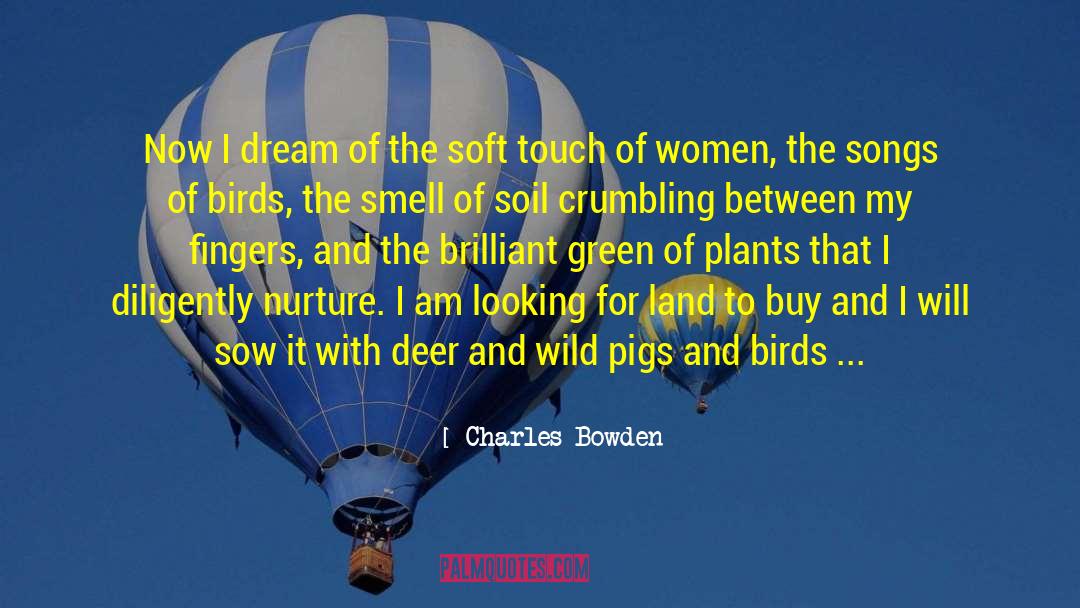 Charles Bowden Quotes: Now I dream of the