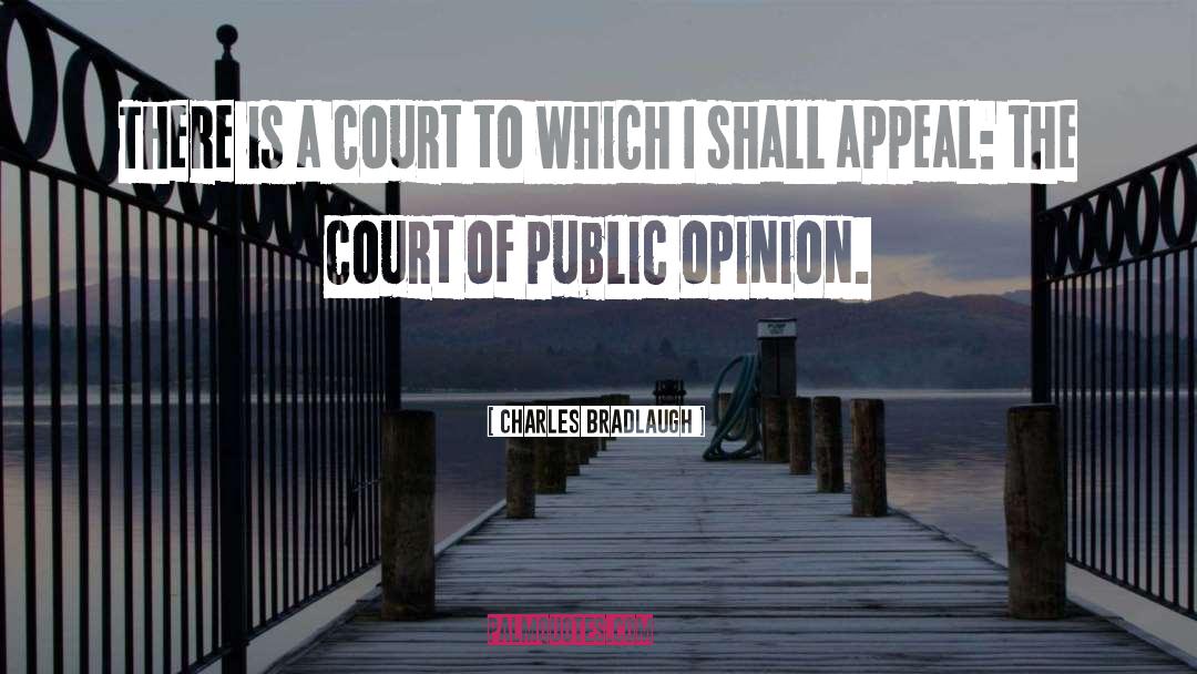 Charles Bradlaugh Quotes: There is a court to