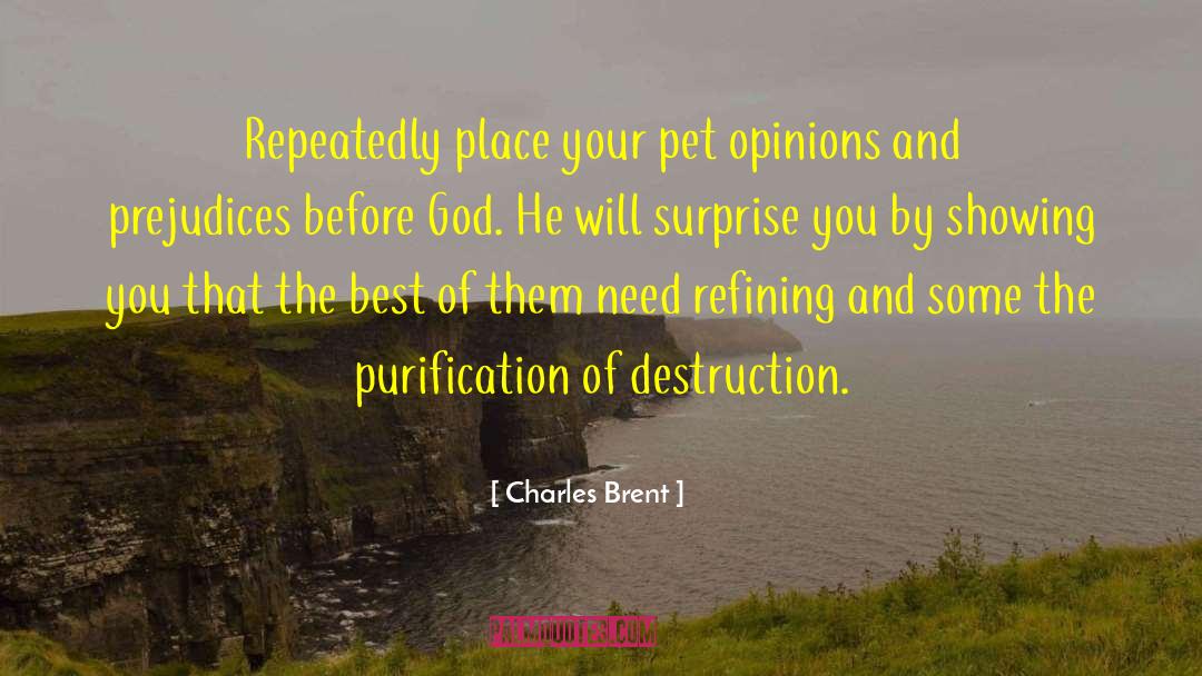 Charles Brent Quotes: Repeatedly place your pet opinions