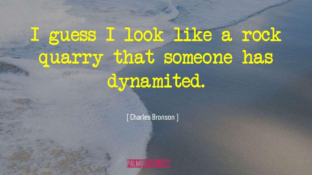 Charles Bronson Quotes: I guess I look like