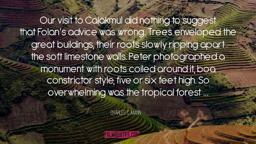 Charles C. Mann Quotes: Our visit to Calakmul did