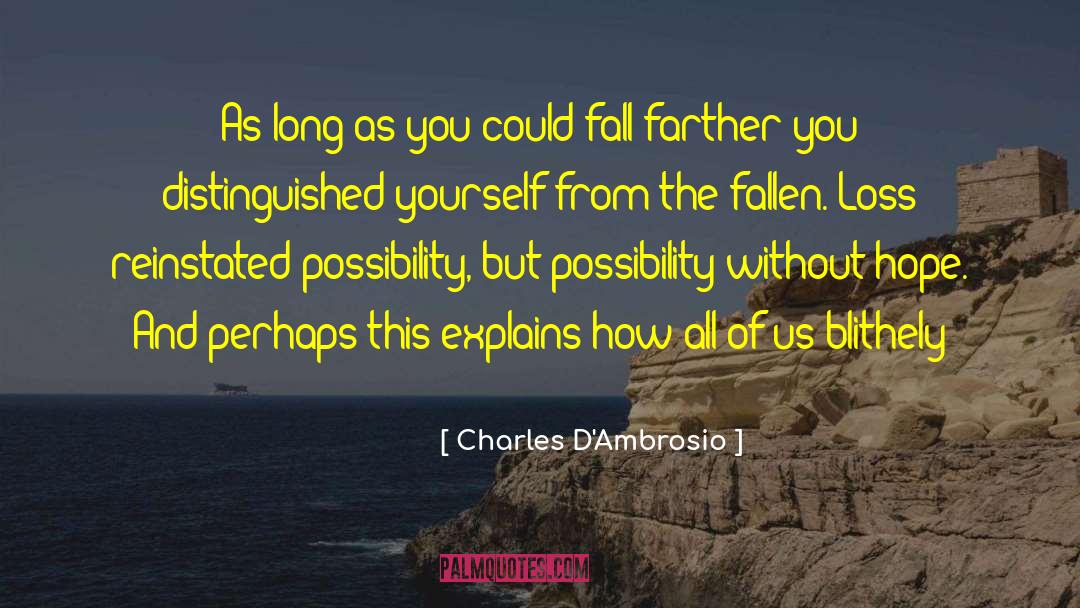 Charles D'Ambrosio Quotes: As long as you could