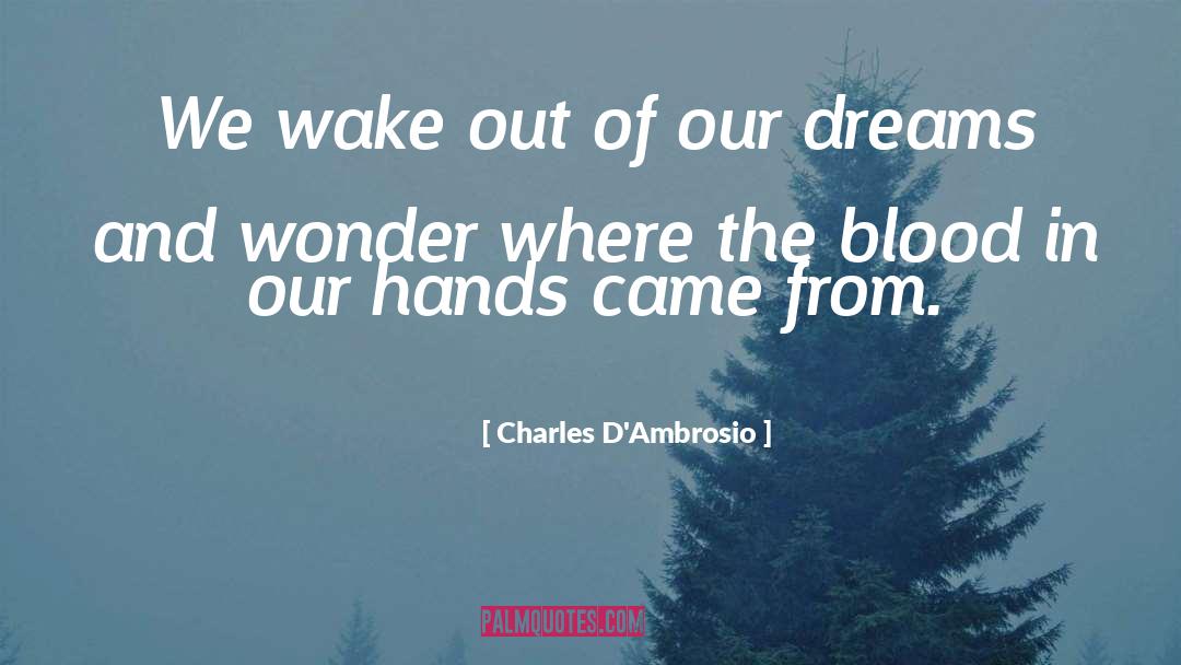 Charles D'Ambrosio Quotes: We wake out of our