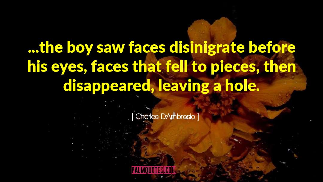 Charles D'Ambrosio Quotes: ...the boy saw faces disinigrate