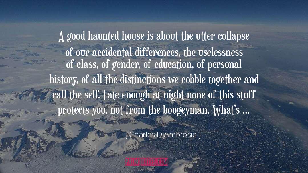 Charles D'Ambrosio Quotes: A good haunted house is