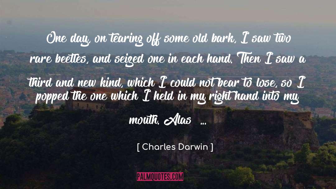 Charles Darwin Quotes: One day, on tearing off