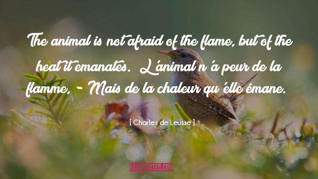 Charles De Leusse Quotes: The animal is not afraid