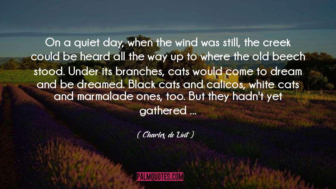 Charles De Lint Quotes: On a quiet day, when