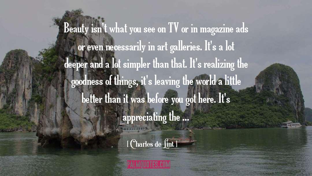 Charles De Lint Quotes: Beauty isn't what you see