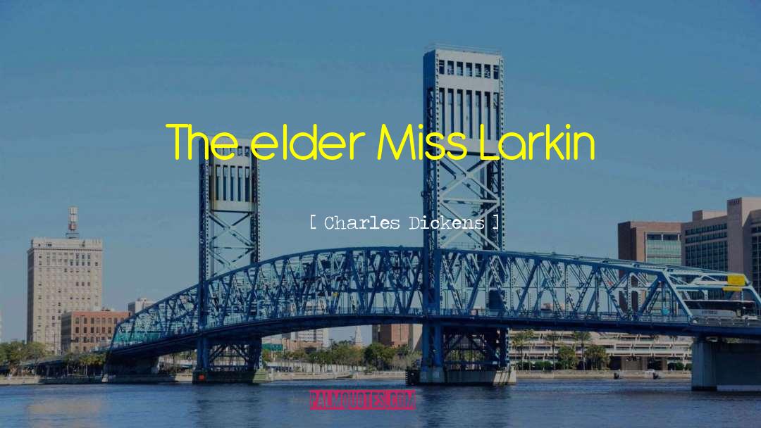 Charles Dickens Quotes: The elder Miss Larkin