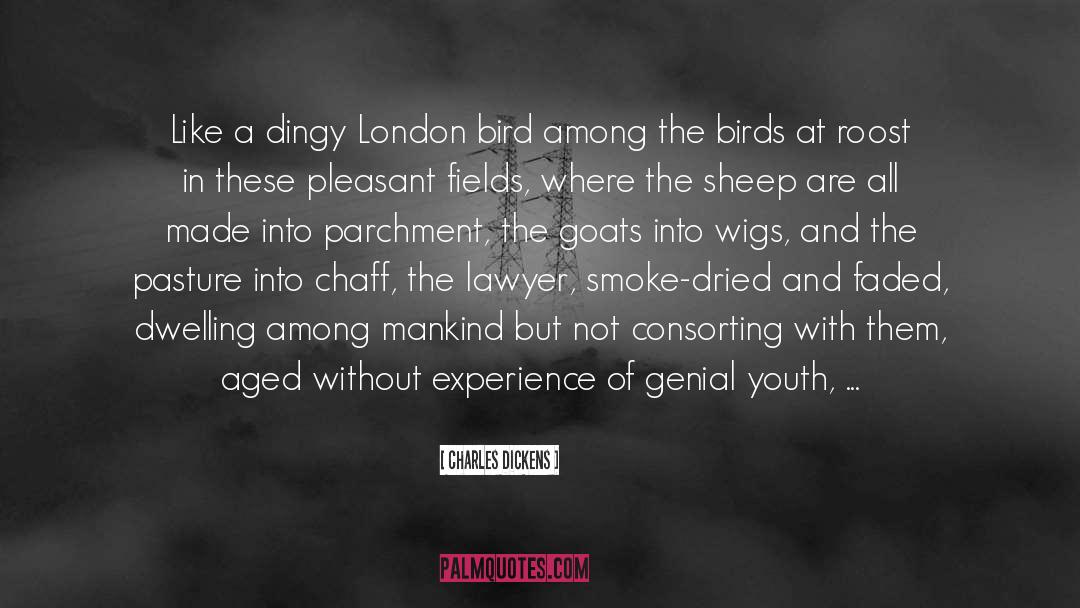 Charles Dickens Quotes: Like a dingy London bird